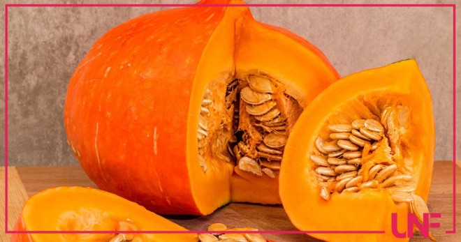 zucca