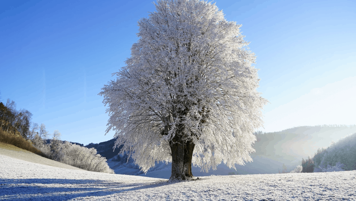 previsioni meteo freddo neve