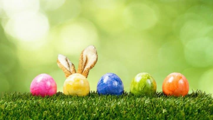 uova di pasqua 2019 marche