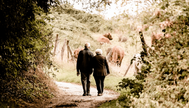 pensioni quota 41