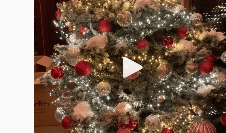 Antonella Clerici natale 2019