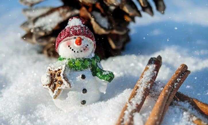 previsioni meteo natale