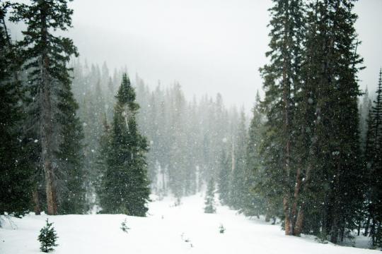 previsioi meteo ponte immacolata