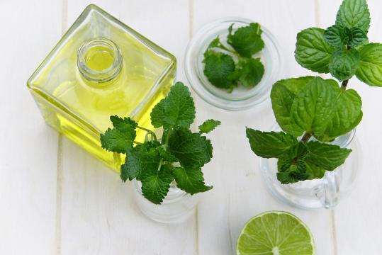 migliorare digestione piante erbe