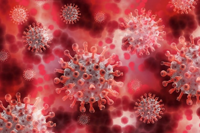variante sudafricana coronavirus