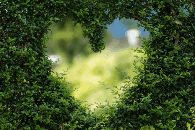 Bonus verde 2021: quali lavori comprende e come funziona