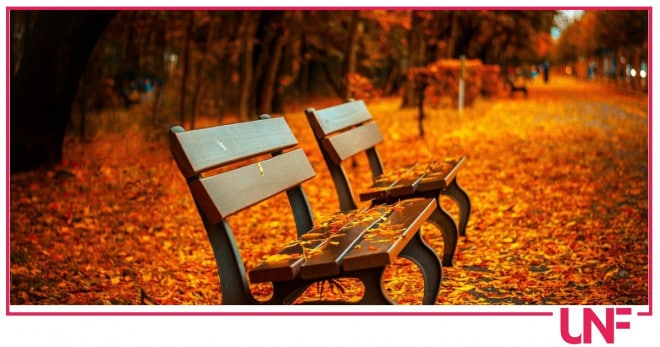 combattere il mal d'autunno