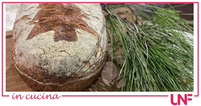 pane al pino è sempre mezzogiorno