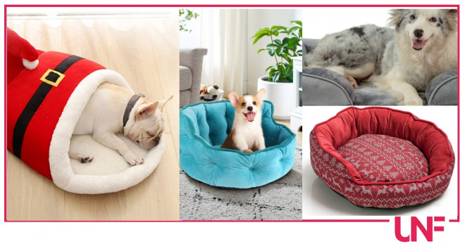 pet bed da regalare a natale
