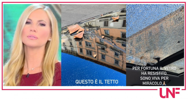 panicucci auto