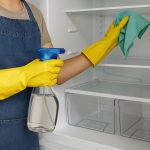 pulire frigorifero cannella