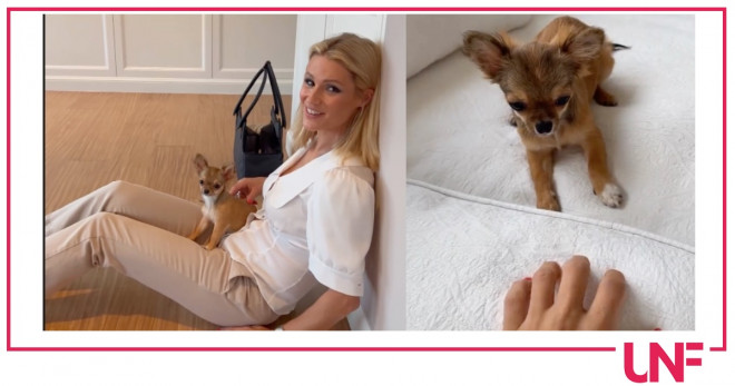Michelle Hunziker cane