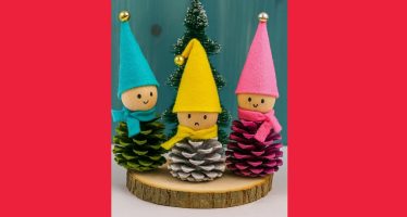idee natale pigne