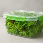 insalata verde