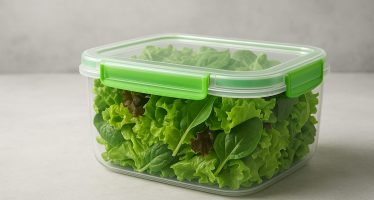 insalata verde