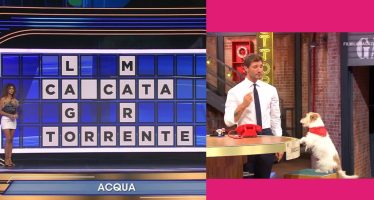affari tuoi vs la ruota della fortuna ascolti 3 settembre
