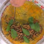 la torta salata di riso di sergio barzetti