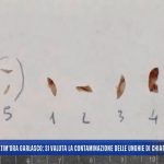 le unghie di chiara poggi nuove analisi