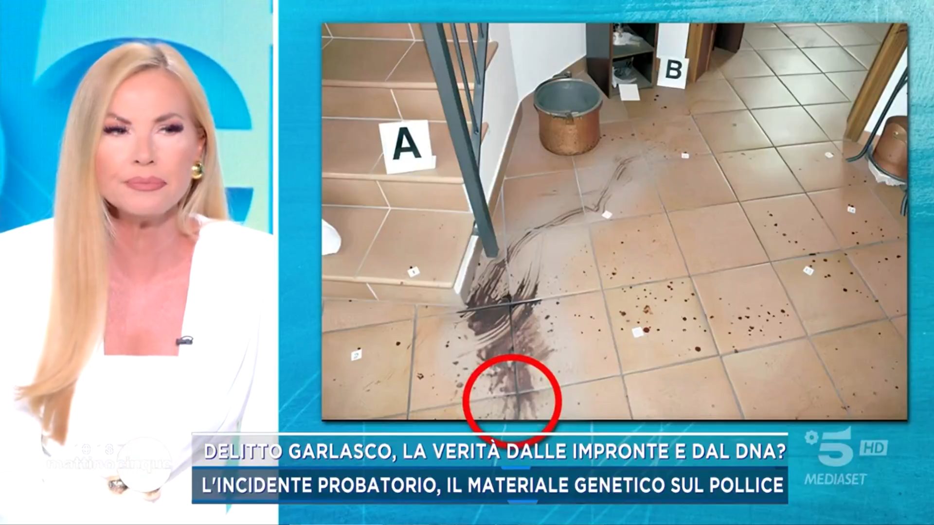garlasco impronta insaguinata