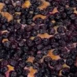 schiacciata uva fulvio