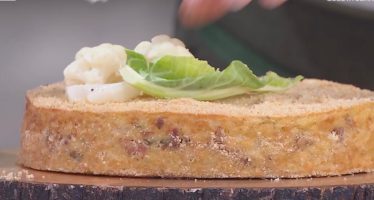 gatto cavolfiore paolino