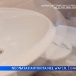 ciriè neonata water