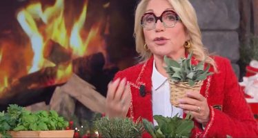 evelina flachi spezie