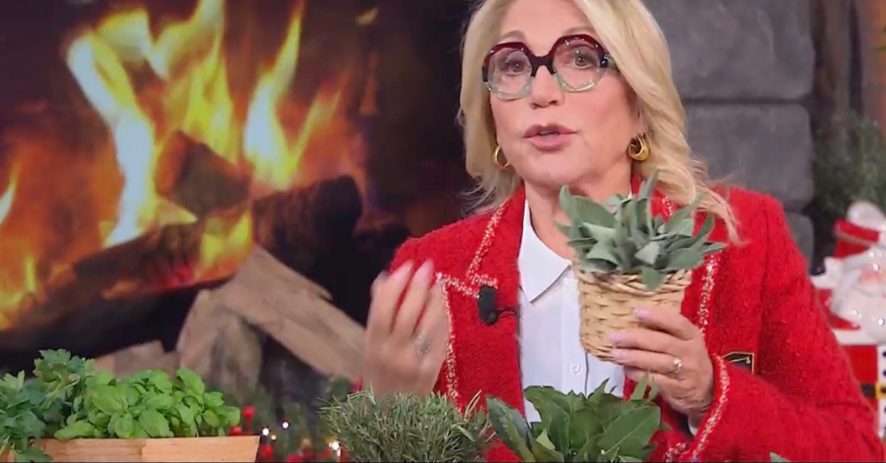 evelina flachi spezie