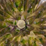 stella carciofi sempre mezzogiorno