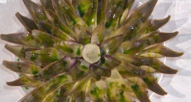 stella carciofi sempre mezzogiorno