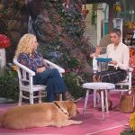 simba è sempre mezzogiorno