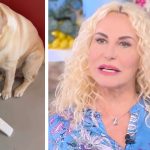 antonella clerici cane