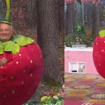 Alfio bottaro fragola