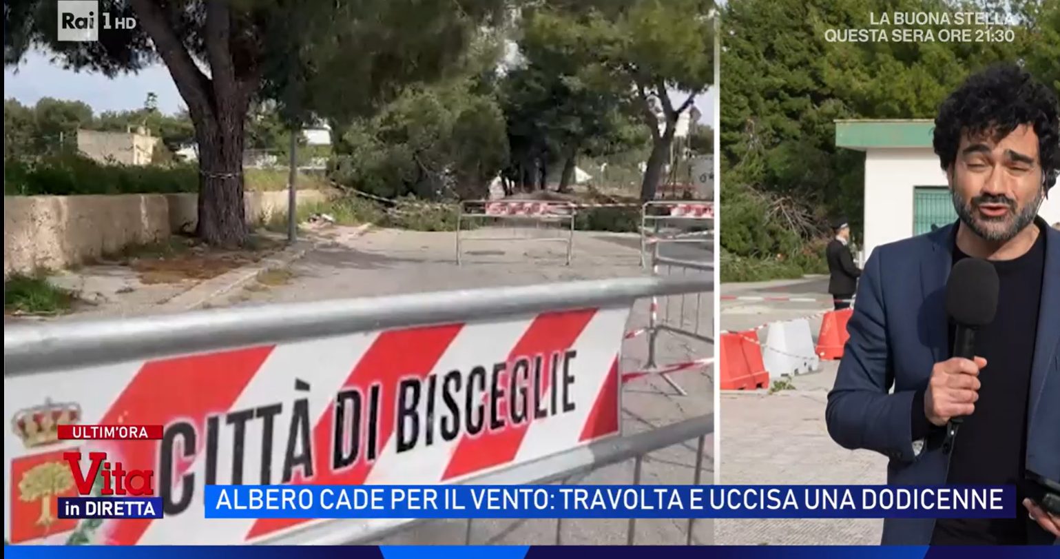 ultime notizie bisceglie