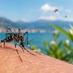 zanzare esotiche virus malattie