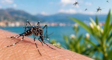 zanzare esotiche virus malattie