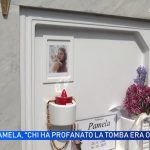 amica pamela genini in tv