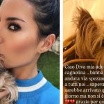 elisabetta gregoraci cane