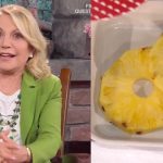 Evelina flachi ananas