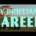 my brilliant career seconda stagione