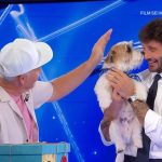 affari tuoi ascolti 6 settembre 2026