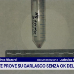 delitto garlasco ultime notizie